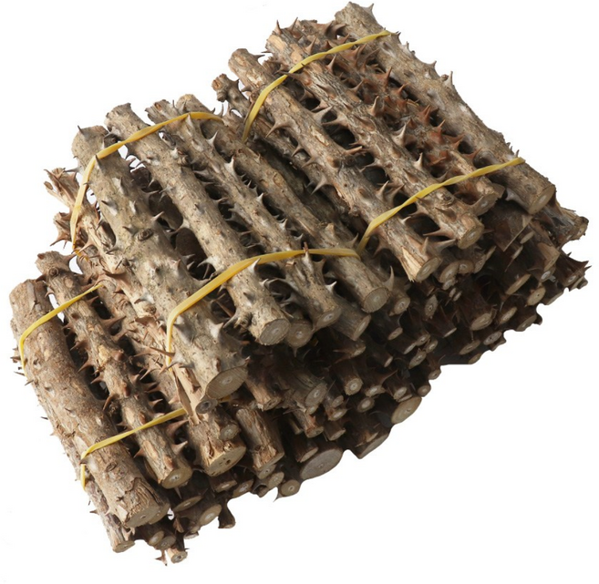 동의한재 국산 가시 엄나무 음나무, 5단