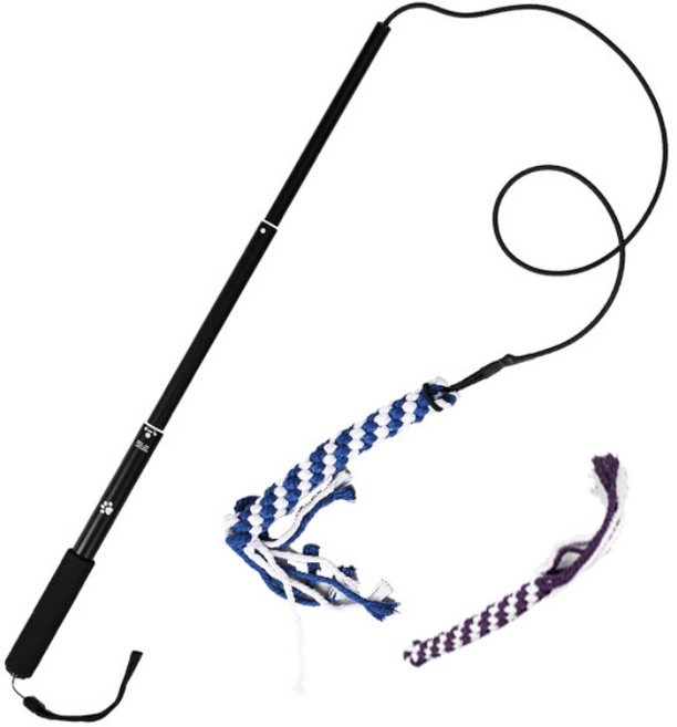 딩동펫 터그 폴 강아지 장난감, 블루 + 퍼플, 1세트