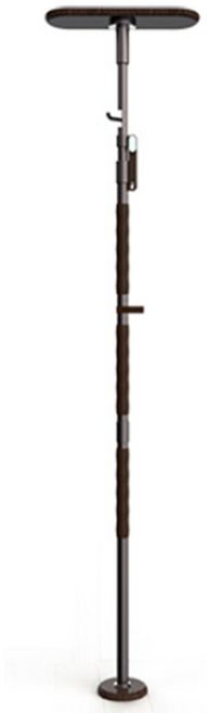 세비앙 기둥형 안전손잡이 CV100 (한국생산 노인용 천장형 안전손잡이), 1개, 노인장기요양등급 구입(본인부담금 15%)