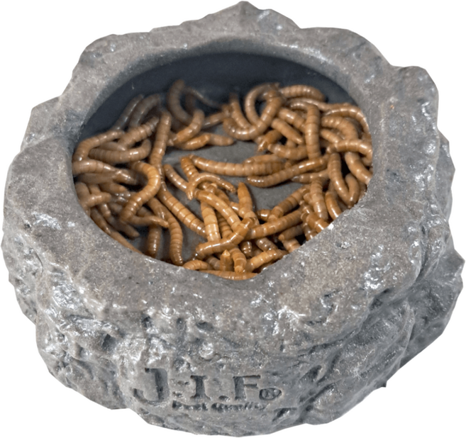 밀웜나라 J.I.F 밀웜 그릇, 1개