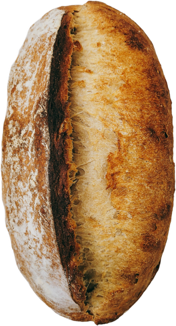 [복수구매 할인]들래미 귀리우리밀 사워도우 우리밀100% 천연발효빵 1000g Oat and Domestic Wheat Sourdough, 1kg, 2개