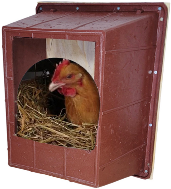 닭 산란통 벽걸이사료통 알통 알낳는통 알집 부화통, 1개, 밀폐형산란통