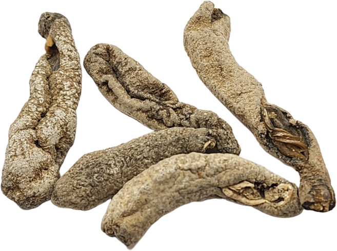 해송 말린해삼 건해삼 산소탈&동토&매매 비방 비법 무속용품 불교용품, 1개, 말린해삼 5개