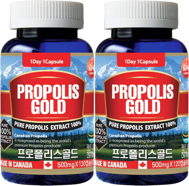 통라이프 프로폴리스골드100%-4개월분 (향균작용 항산화)-2병, 120정, 2개
