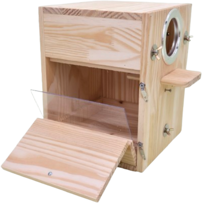 잘보이는 중형 알통 앵무새 좌 우 설치 코뉴어 중형앵무 원목알통 목도리앵무., 좌(왼쪽), 1개