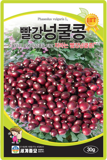 세계종묘 빨강넝쿨콩 씨앗 30g 재래종 울타리콩씨 종자, 1개