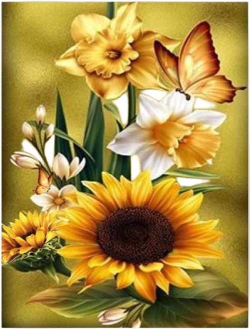 엠제이에스 명화그리기 50x40cm (캔버스형) DIY 유화 세트, KK09 - 황금나비와 황금해바라기