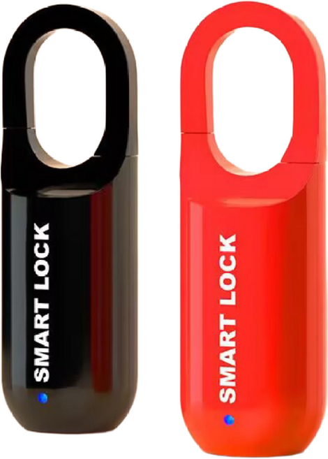 [BAKARAMIA] 미니 스마트 자물쇠 캐리어 가방 서랍 캐비넷 지문인식 잠금 장치, 블랙, 1개