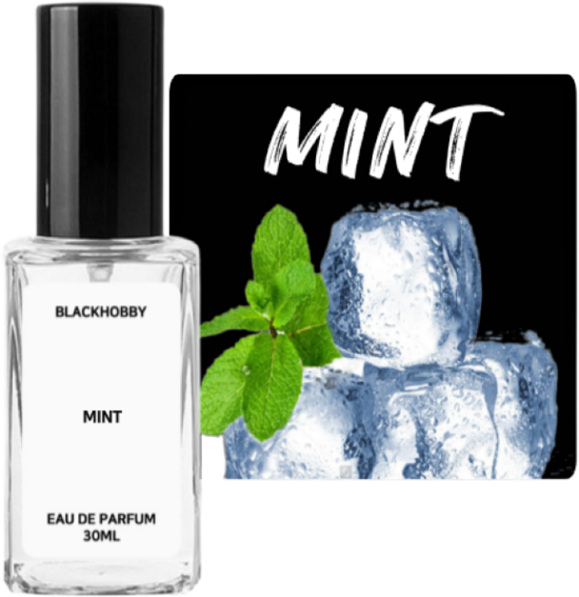 [3+1] 블랙하비 민트향 베스트 10종 고농축 드레스퍼퓸 / 사탕수수 발효 베이스 사용, 1개, 30ml, 138. 민트샤워