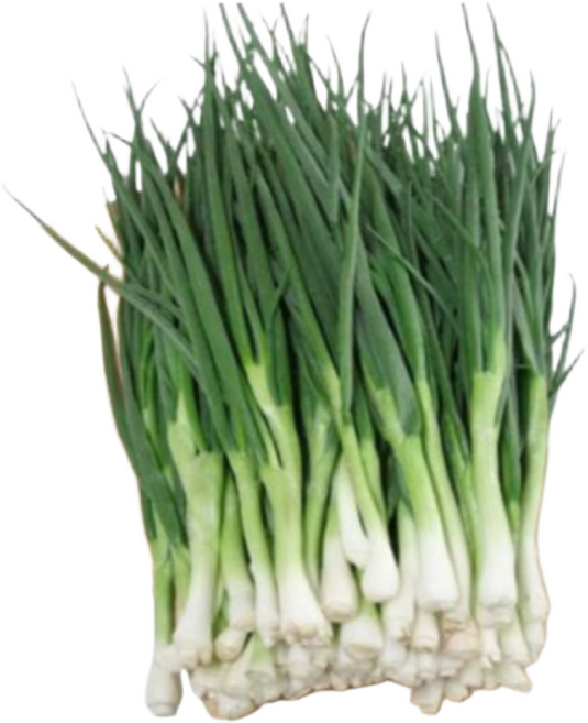 [굿피플] 깐쪽파 쪽파 파 깐파 흙쪽파 실파 잔파, 1박스, 1kg