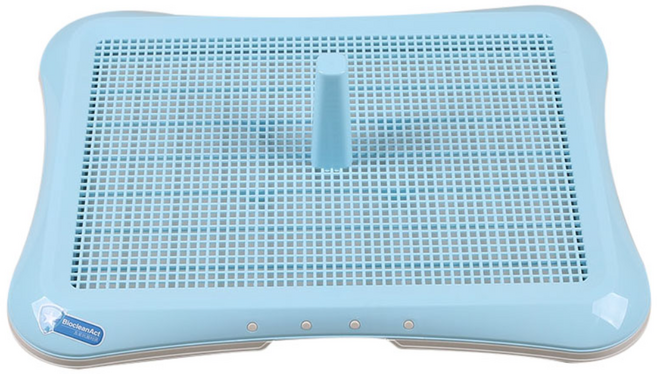 펫홀릭 강아지 배변판 대형, 블루, 1개