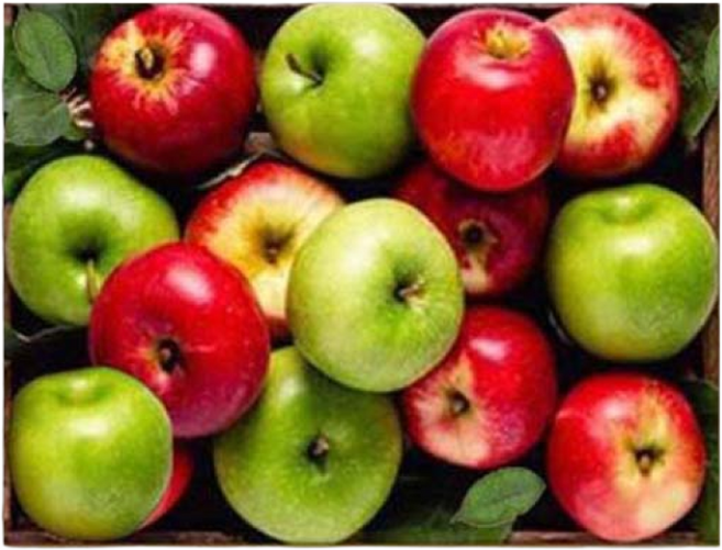 엠제이에스 명화그리기 50x40cm (캔버스형) DIY 유화 세트, KK16 - 금전 홍청 사과들, 1개