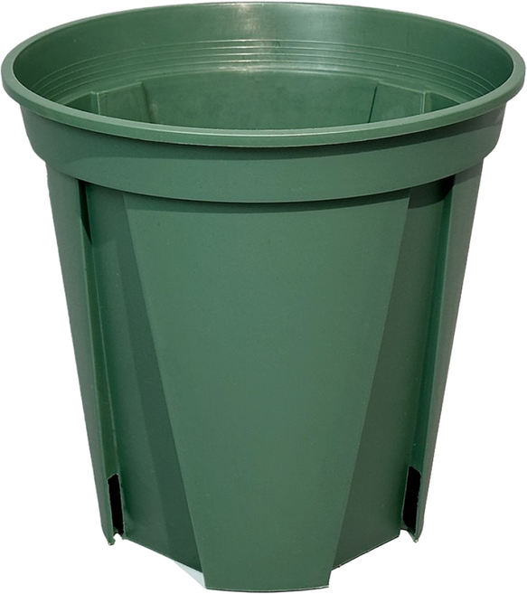 파파가든 슬릿화분 뿌리건강 화분, 그린, 1개, 화분