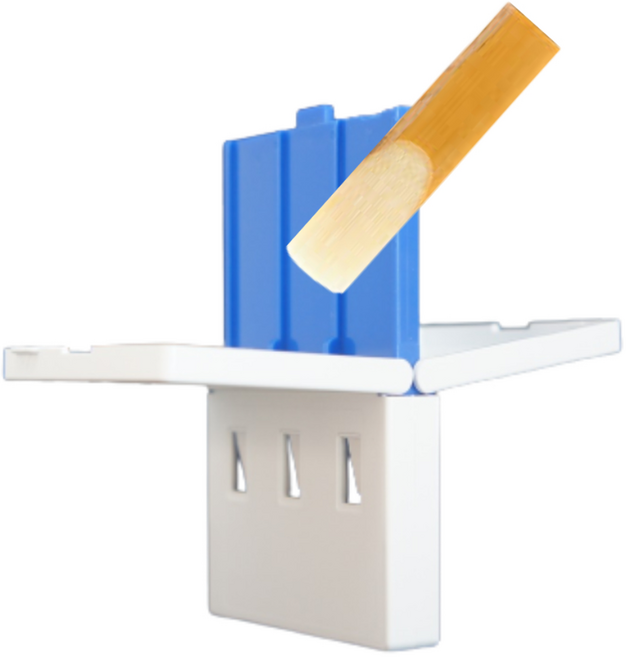 색소폰 리드케이스, 1개