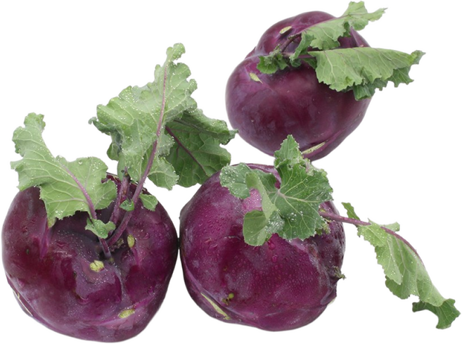 제철 고당도 제주콜라비 특품 선별 3kg 5kg 10kg