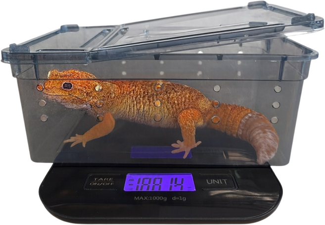 파충류 체중계 디지털 저울 케이지포함, 1개, 블랙