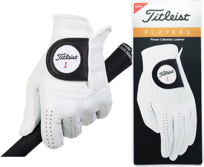 타이틀리스트 플레이어스 Players Mens 남성용 양피 골프장갑.