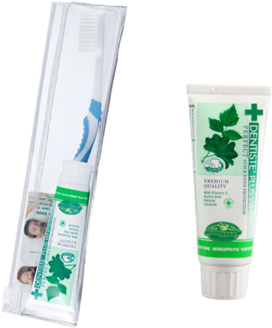 e세상 덴티스테 치약 튜브60g+여행용세트, 1개