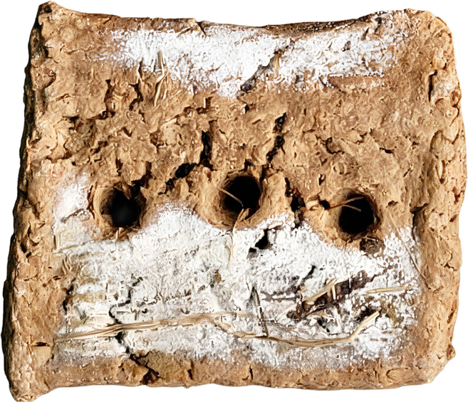 [청솔농장] 이승희명인 국산콩 전통메주 4장 콩한말, 1.2kg, 4개