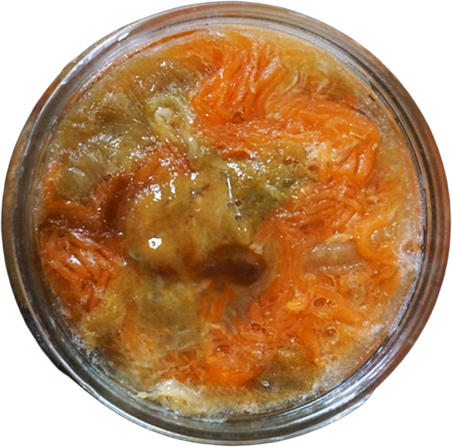 국산 남해안 자연산 생해삼내장 와다, 1개, 100g