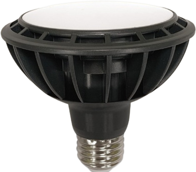 장수램프 LED PAR30 15W 집중형, 전구색, 10개