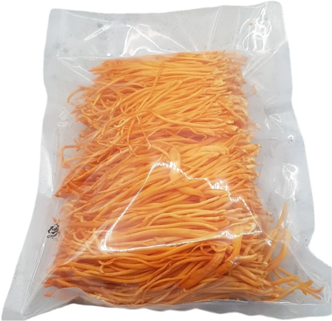 더드림농원 동충하초 버섯만 250g . 500g 일반버섯 처럼손쉽게 (업소형) 동충하초 국내최초 출시, 1개 - 쿠팡