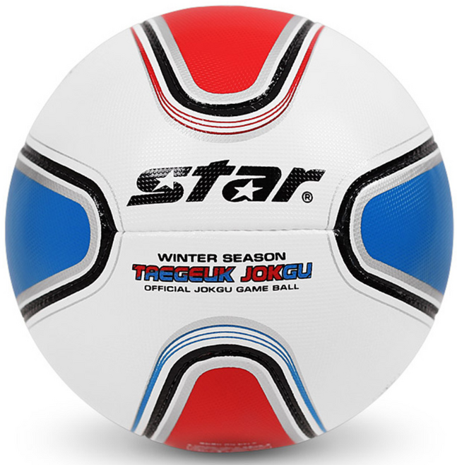 스타스포츠 태극 족구공 동계용, JB245W-31, 1개