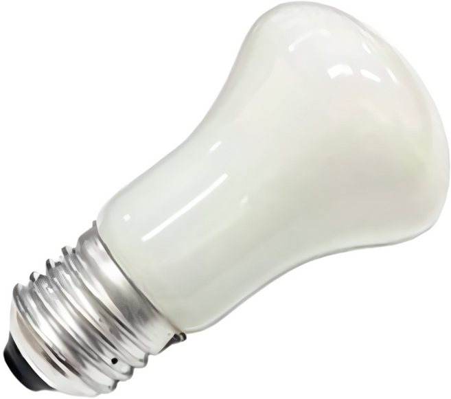 병아리 보온 막대 육추기 전구, 전구60W, 1개