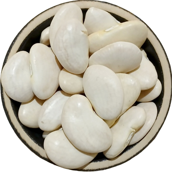 이슬처럼 수입산 흰작두콩 500g 작두콩 흰콩 든든하고 고소한맛 (25년산), 1개