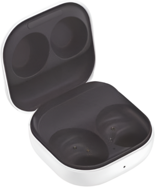 삼성 버즈FE 그라파이트 본체 충전기 낱개 단품 정품 특 A급