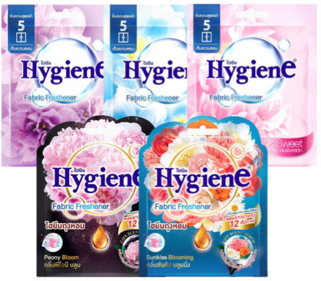 하이젠 옷장용 차량용 퍼퓸 방향제 5종, 1개