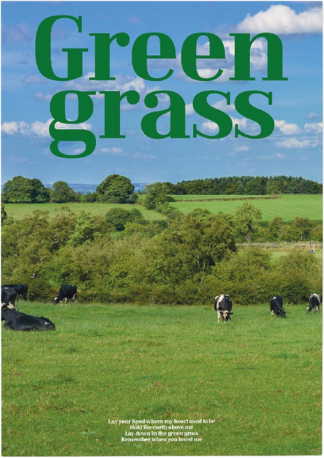 간편한 감성 스타일링 네이처 인테리어 접착 포스터, 잔디