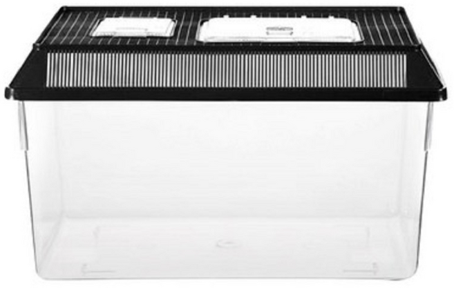 뉴런 사각채집통 왕대 사이즈 블랙컬러뚜껑, 혼합, 1개