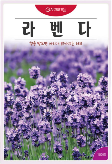 라벤다 씨앗 (100립) 허브 꽃 관상 약용 차 종묘 종자 씨 영웅 KS, 1개