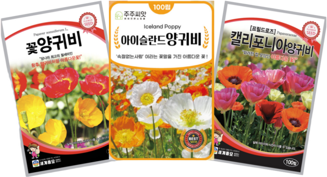 혼합 양귀비 씨앗 3종 세트 / 꽃양귀비 아이슬란드양귀비 캘리포니아양귀비 꽃씨 꽃씨앗 꽃씨몰 주주씨앗 봄 여름 가을 파종, 1개
