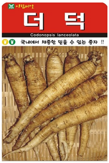 국내 채종 국산 더덕 씨앗 더덕씨 500립 재배 아람, 2개