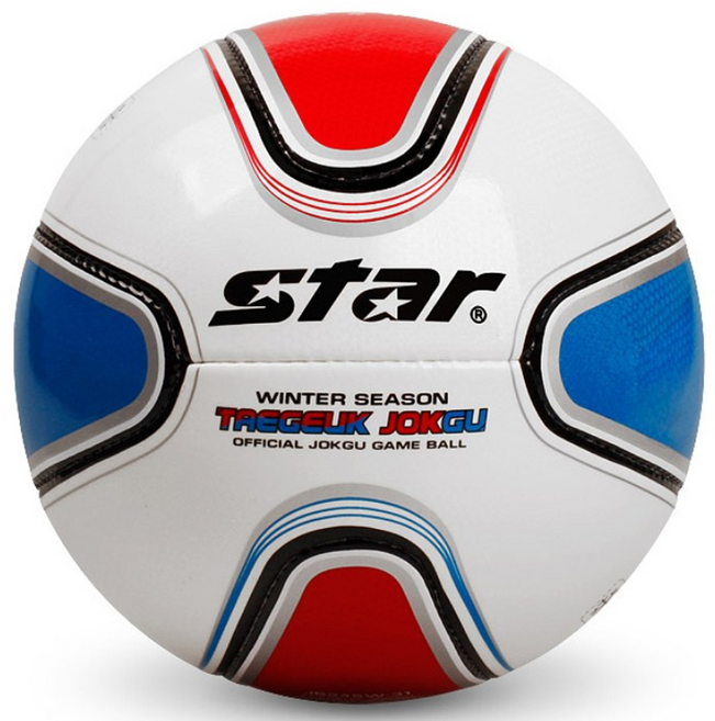 스타 족구공 태극(동계용) H/S, 1개