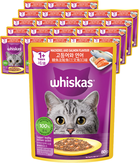 위스카스 어덜트 고양이 습식사료, 고등어+연어, 80g, 24개