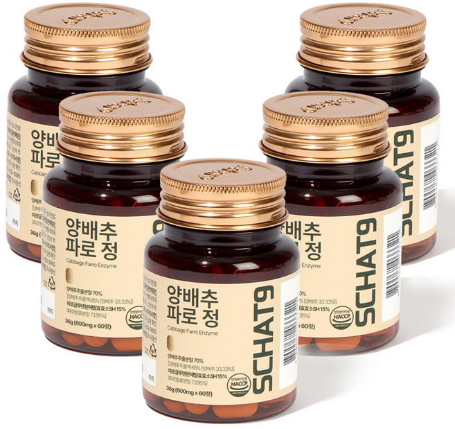 양배추 파로정 매스틱 품은 캐비지 환 60정, 5개