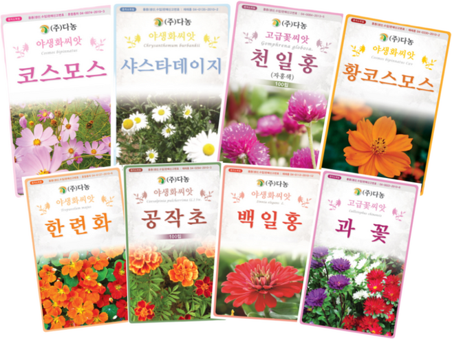 주주씨앗 키우기쉬운 꽃씨 8종세트 다농 씨앗 한련화 천일홍 공작초 샤스타데이지 백일홍 코스모스 과꽃 황색코스모스 봄 여름 가을, 1개