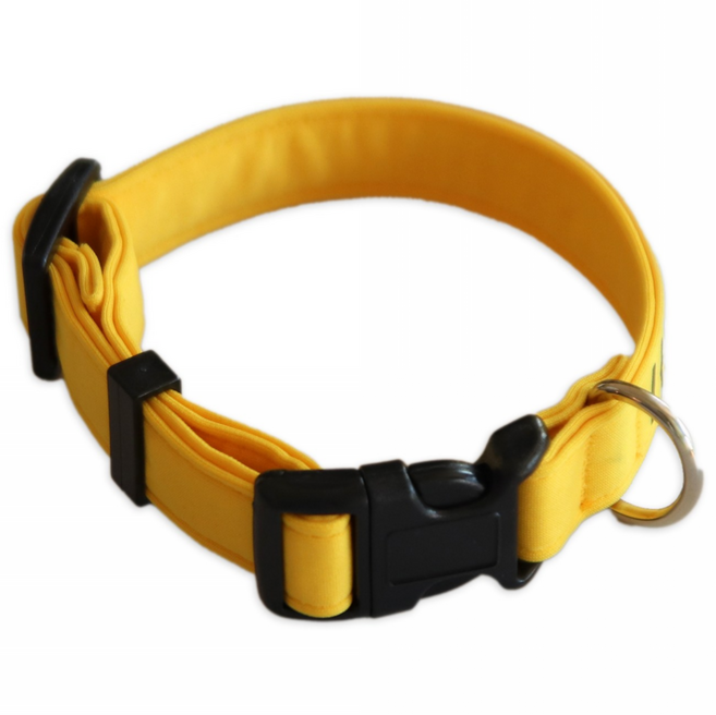 리이리이 소형견 중형견 대형견 강아지 목줄 이름 연락처 각인 목걸이, 옐로우, 홀로그램, 1개