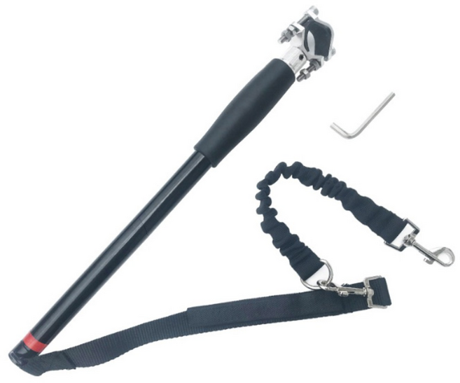 딩동펫 반려동물 자전거 탄성 산책 리드줄, 혼합색상, 1개