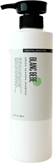 블랑 베베 그린 헤드스파 샴푸 탈모 완화 지성 두피 가려움증 멘톨향 미용실전용, 1개, 500ml
