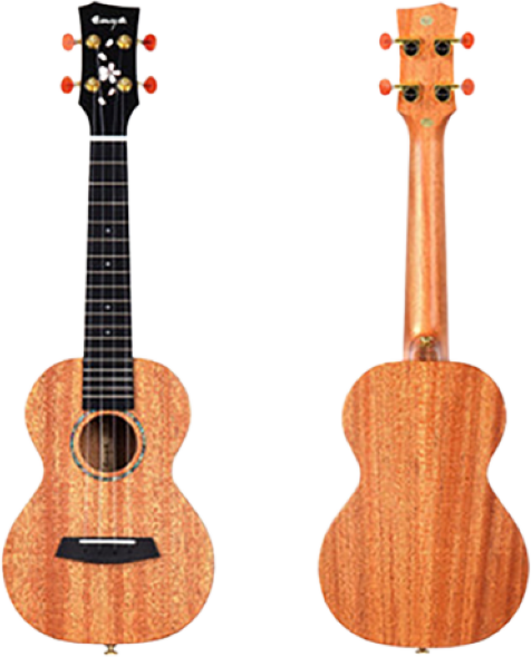 엔야 연습용 우쿨렐레 MS (올솔리드), 엔야 정품 파우치 세트, 콘서트, 1개