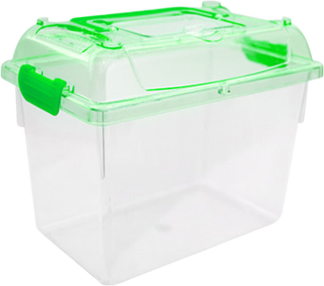 Amazon 아마존 클린 사각 곤충채집통 (소), 1개