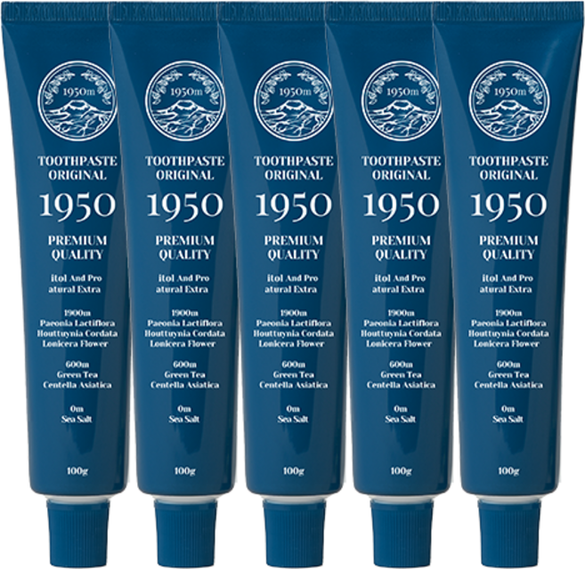 1950 제주 미네랄솔트 블루 치약, 5개, 100g
