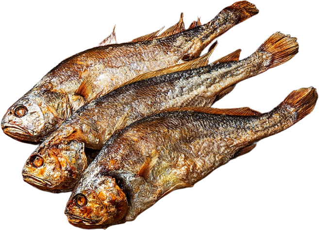 찐보리굴비 부새 설 설날 명절 선물세트 왕특대 5미 10미 영광 법성포 구운 굴비 부세, 1개, 찐보리굴비, 10미 31cm 내외, 명품박스