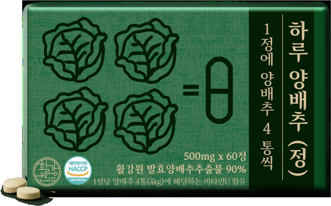 활강원 하루 양배추정 1알에 양배추 4통, 500mg, 60정, 1박스