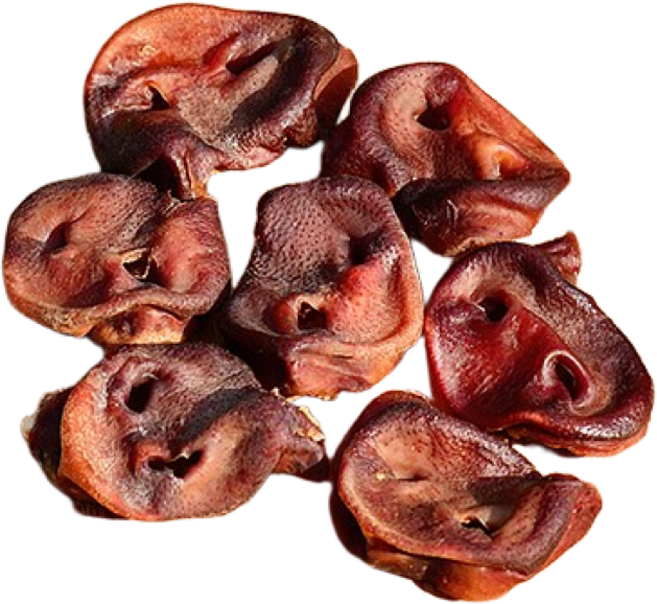 [파피앤덕 ] 돼지코10p 강아지 수제간식 개껌 무방부제 대용량, 돼지코/10p, 10개