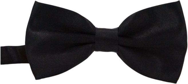 나비 넥타이 2개입 남자 보타이 결혼식 웨딩 돌잔치 파티 가족행사